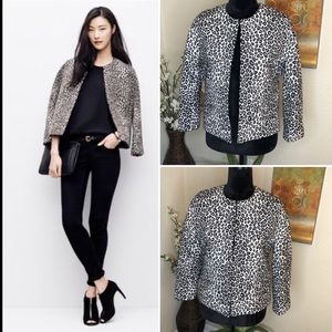 Ann Taylor Leopard Collarless 3/4 Sleeve Blazer